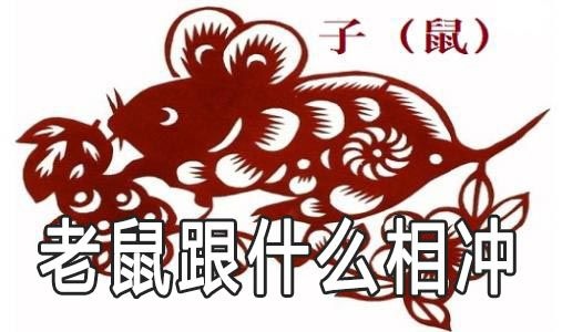 老鼠不适合配的生肖，属老鼠和什么属相最配