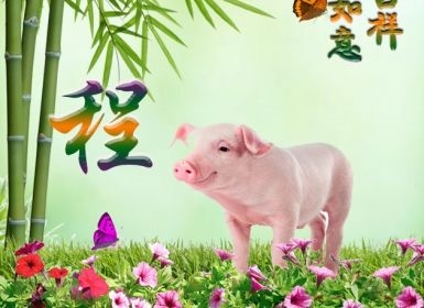 属鼠用什么微信头像运气好，72年属鼠微信头像招财风景