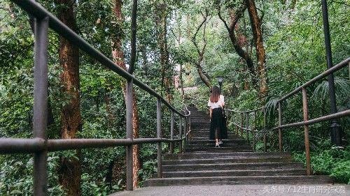 2年属狗何时走大运,1982年大海水命的贵人"