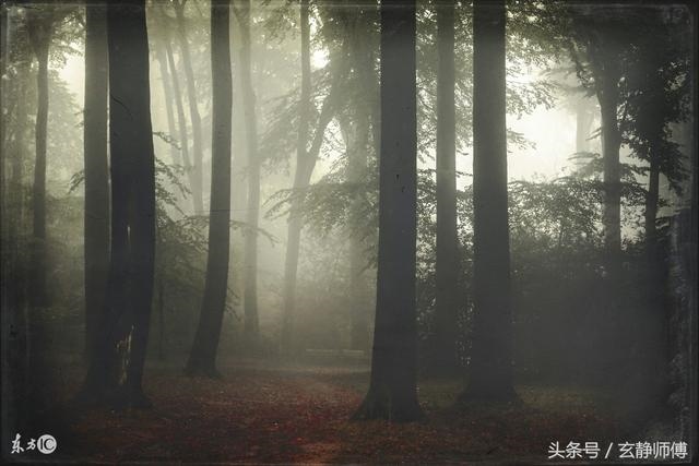 972年属鼠流年大运，72年鼠未来十年大运"