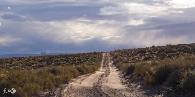 猪和什么属相最合财气,九对搭配最合财生肖