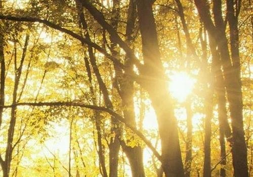 6年属鼠10月份运势,1996农历十月出生的人"