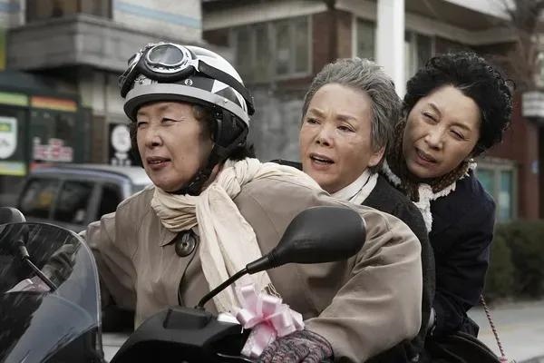 2年生人今年多大岁数,52年属什么生肖多少岁"