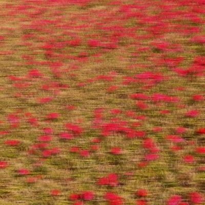 比较旺财的 名，2022 最旺财微信名