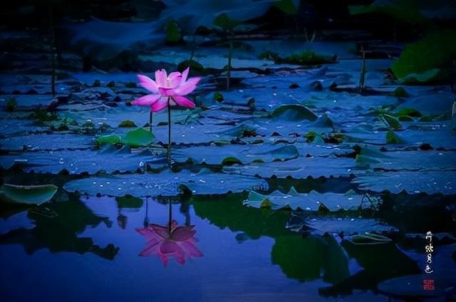 3岁多少年的，23岁多少年的属什么"