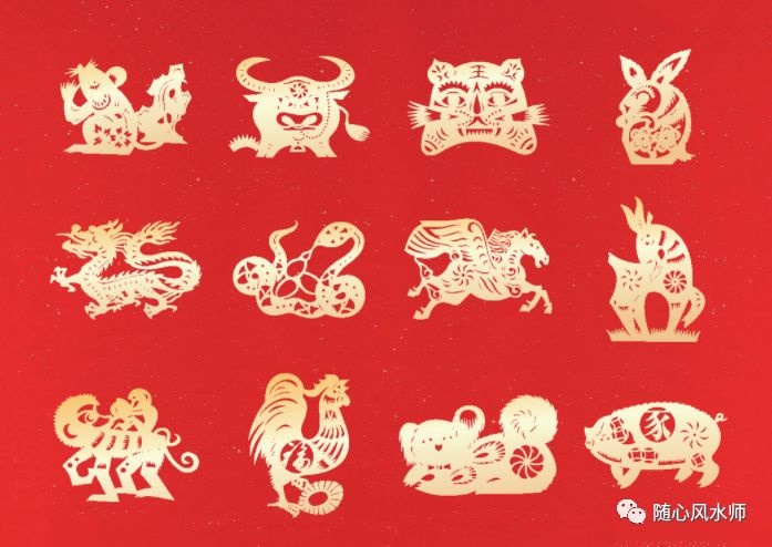 属鼠的人和什么属相配,属鼠女的和什么属相最配