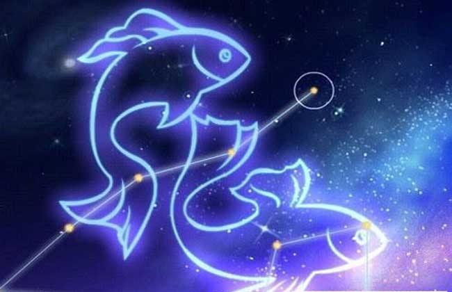 属龙女什么性格,属马女的和什么属相最配