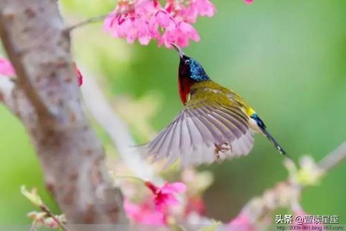 6年农历11月女的运势，96年11月属鼠的是什么命"