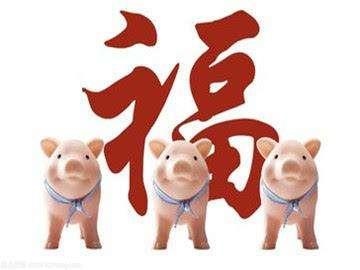 本命年不顺怎么破解，2022 本命年属什么生肖