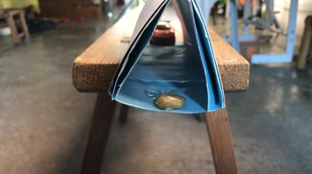 房间里放什么能驱赶老鼠，猫叫声吓老鼠播放