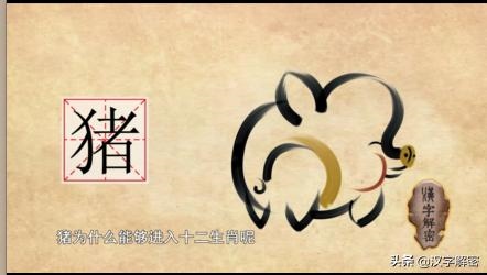 十二生肖中的猪，十二生肖邮票猪