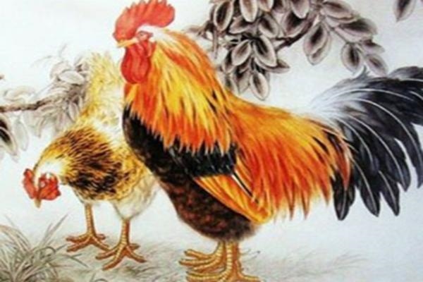 属鼠的女人心机极重，有心机的女人面相