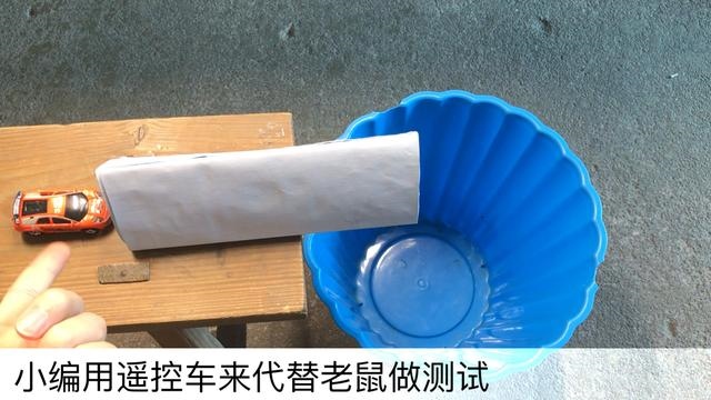 房间里放什么能驱赶老鼠，猫叫声吓老鼠播放