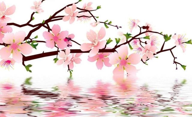 属马43岁是转折点,属鸡男的对老婆怎么样