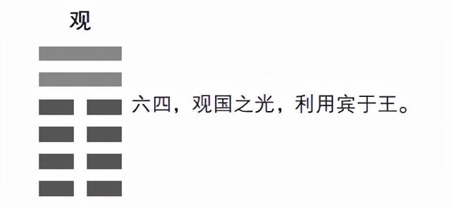 兔的六三合是什么生肖，属兔的六冲是什么生肖