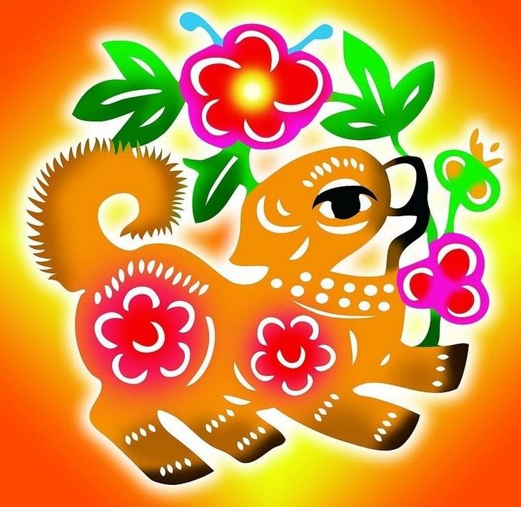 属狗和属鼠的婚姻相配吗,2022 年属狗女注意哪些