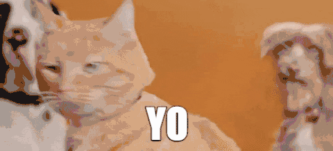 每日运势查询哪个软件好免费，看每日运势的app