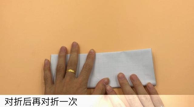 房间里放什么能驱赶老鼠，猫叫声吓老鼠播放