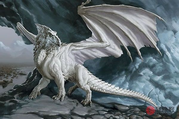 988属龙男婚配表,2000属龙的属相婚配表"