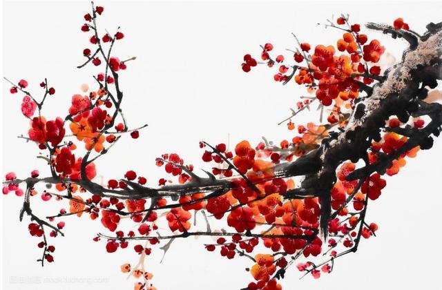 属马43岁是转折点,属鸡男的对老婆怎么样