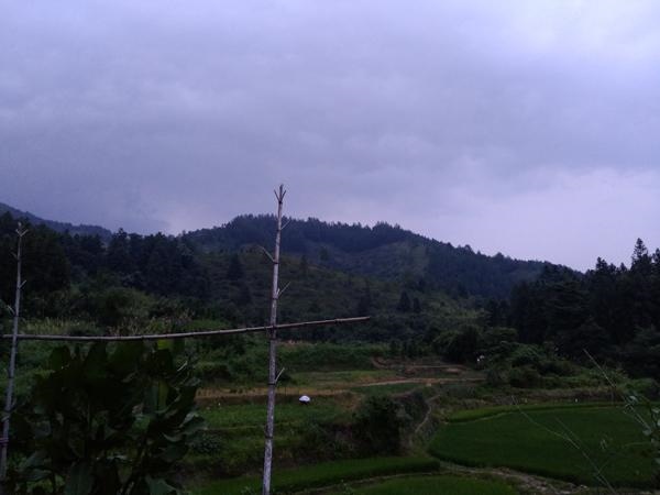 6虎女命命中有几个儿子，33岁有一劫属虎86"