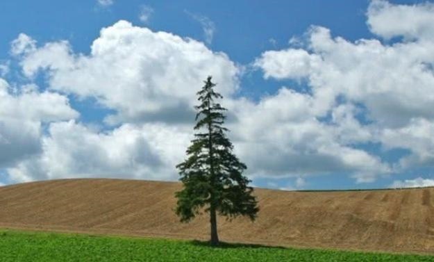 988年属龙女一生的财运,属龙人财运方向"