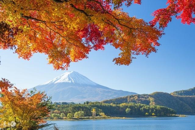 4年属虎12月份财运，属虎人一生最旺3个人"