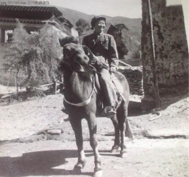 984年出生女是什么命，1984年出生的鼠是什么命"