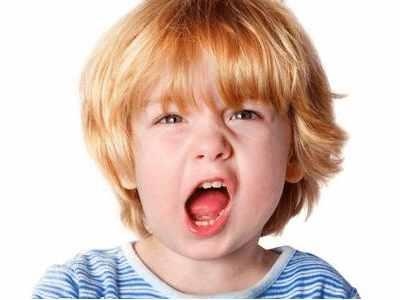 生肖鼠的运势如何,属鼠人一生的运势