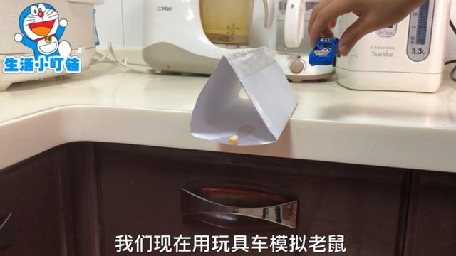 怎样抓老鼠最妙招最快，最简单水桶抓老鼠