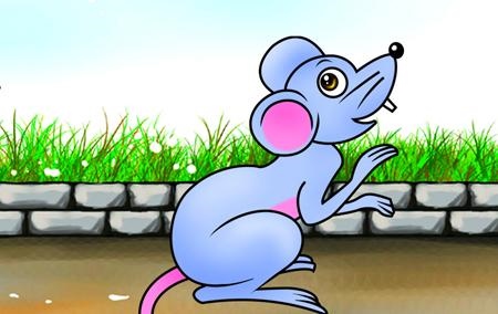 女马和男鼠能不能结婚，属鼠男和属马女婚配怎么样