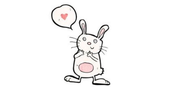 963年属兔今年运势，1963年属兔人一生运势"