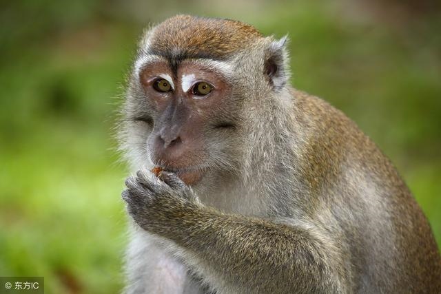 6年属鼠男正缘是什么时候，1996属鼠2022的姻缘"