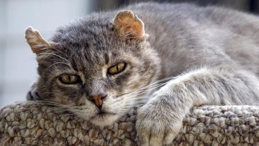 996年8月30日今年多大，1996年8月28日"