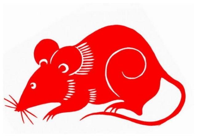 属鼠人出生月份,属鼠哪个月份出生更好