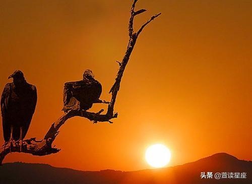 未来5年财运更好生肖，下半年会发横财的生肖