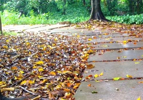 6年属鼠10月份运势,1996农历十月出生的人"