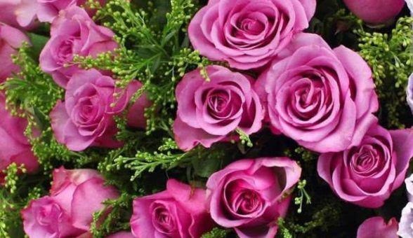 婚后最傲气的生肖女，最强势的三个生肖女