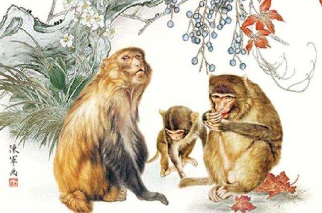 8年属猴的婚姻和财运，68年属猴人男士2022