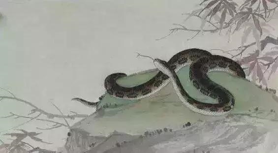 4年鼠女适合做什么生意，84年属鼠人做哪种生意最旺"