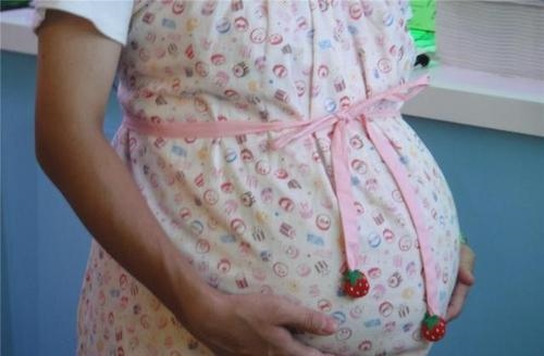 属猪鼠年结婚好不好,属猪和属猪的合不合