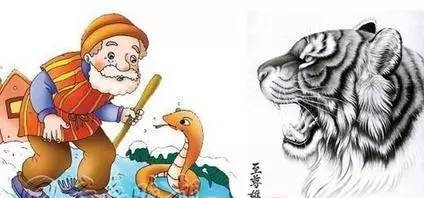 虎与蛇婚姻是否相配，男蛇女龙婚姻是否相配