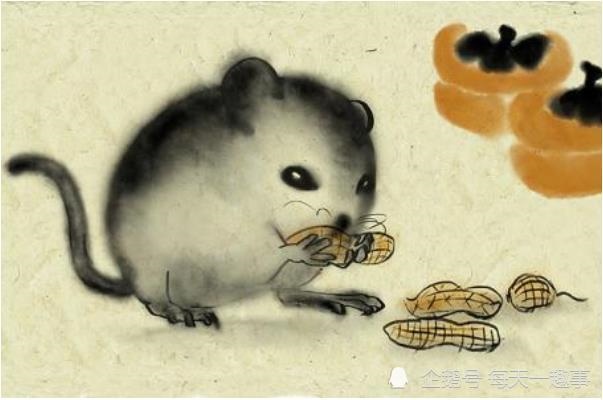 属鼠的婚姻状况，72属鼠女二婚在什么时候