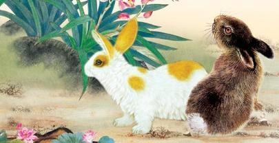 男兔不能和什么属相婚配，1975属兔45岁以后运气