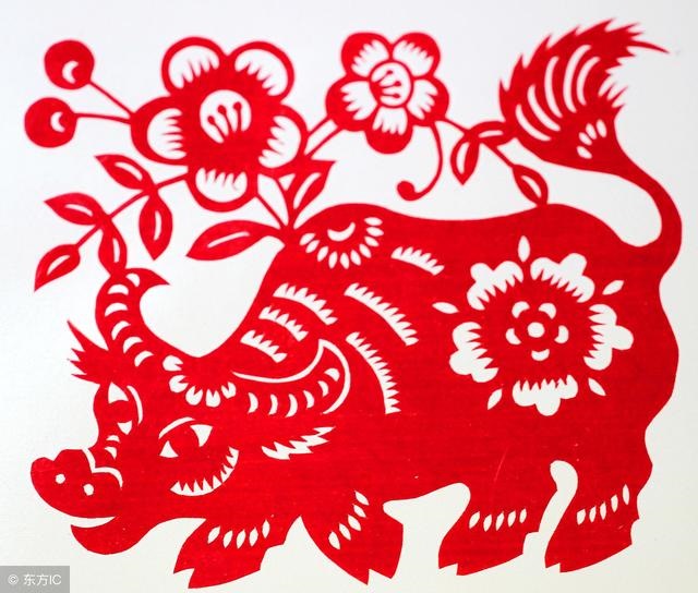 属牛人做什么行业发财，2022 年属牛的适合创业吗