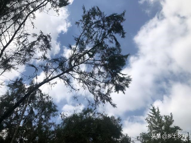 975年属兔穷到什么时候,1975年属兔2022