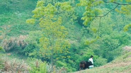 0后牛年是哪一年，90后有属牛的吗"