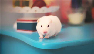 0后属鼠的今年多大，90年的今年多大2022"