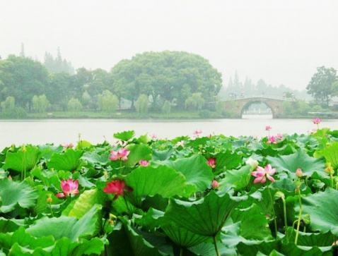 6年鼠今年下半年的运势，1996年属鼠2022