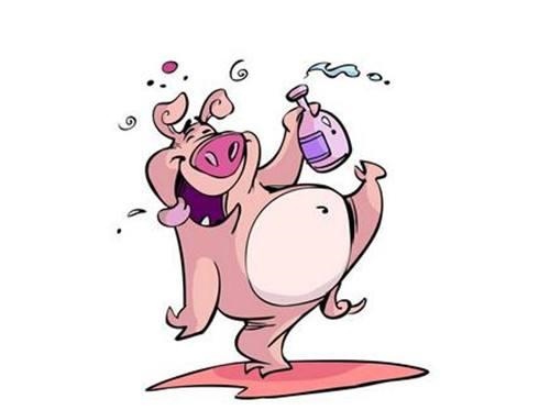 属兔哪月出生是上等之命，十二生肖属兔出生月命